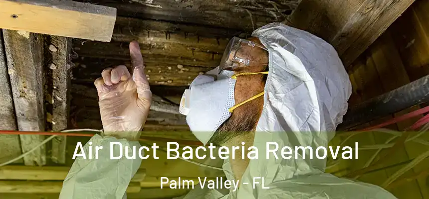 Air Duct Bacteria Removal Palm Valley - FL