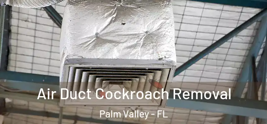 Air Duct Cockroach Removal Palm Valley - FL