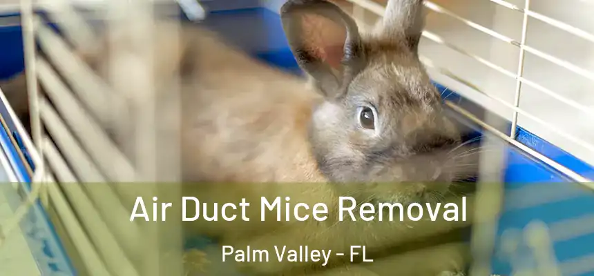 Air Duct Mice Removal Palm Valley - FL