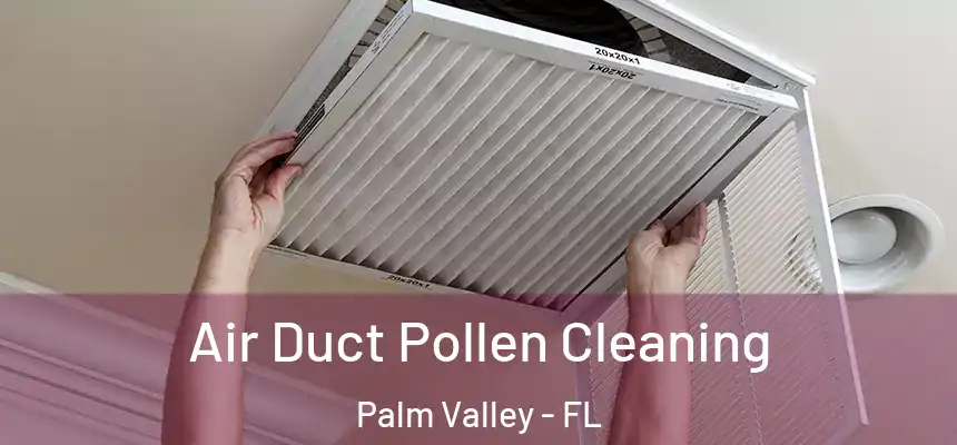 Air Duct Pollen Cleaning Palm Valley - FL