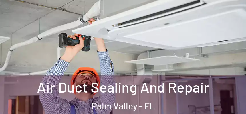 Air Duct Sealing And Repair Palm Valley - FL