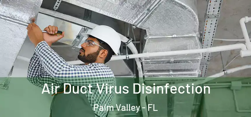 Air Duct Virus Disinfection Palm Valley - FL