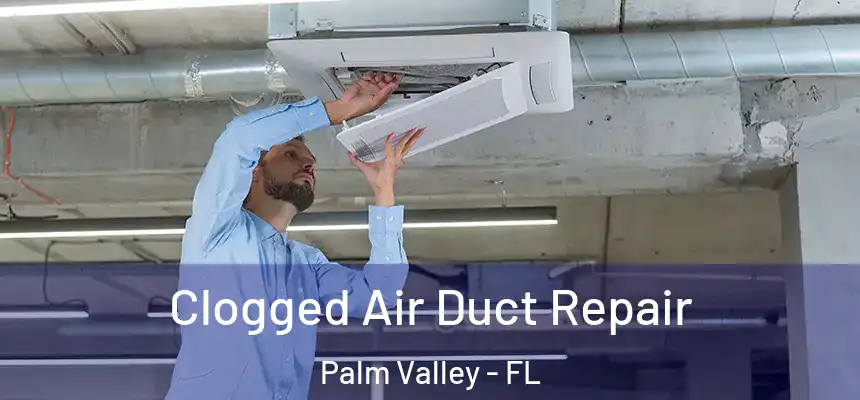  Clogged Air Duct Repair Palm Valley - FL