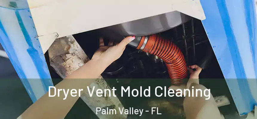 Dryer Vent Mold Cleaning Palm Valley - FL