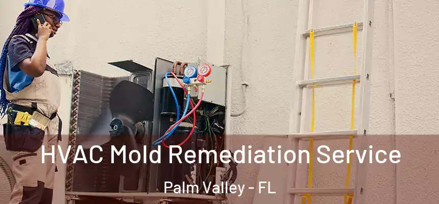 HVAC Mold Remediation Service Palm Valley - FL