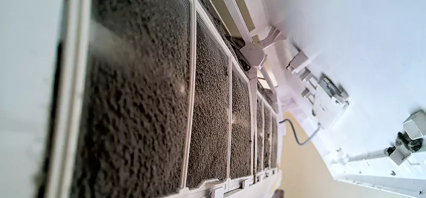 Preventive Air Duct Bacteria Removal in Palm Valley