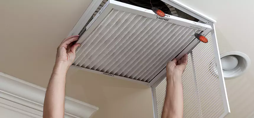 Preventive Cockroach-Proofing for Ducts in Palm Valley