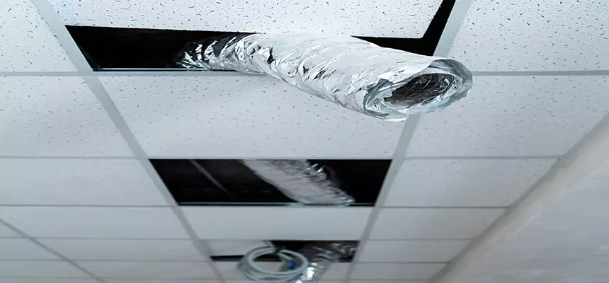 Our Air Duct Pet Hair Removal Services in Palm Valley, FL