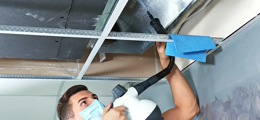 Our Air Duct Rodent Removal Services in Palm Valley, FL