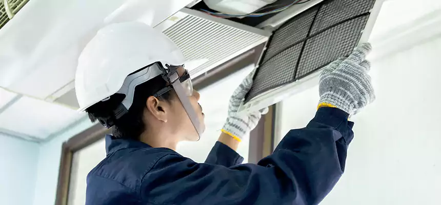 Our Mold & Mildew Removal from Air Ducts Services in Palm Valley, FL