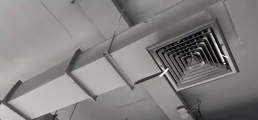 Our Rodent Droppings In Vents Services in Palm Valley, FL