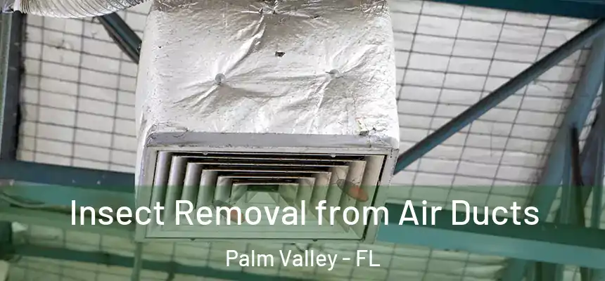 Insect Removal from Air Ducts Palm Valley - FL