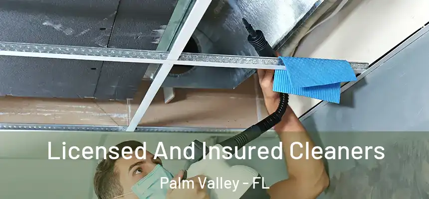 Licensed And Insured Cleaners Palm Valley - FL