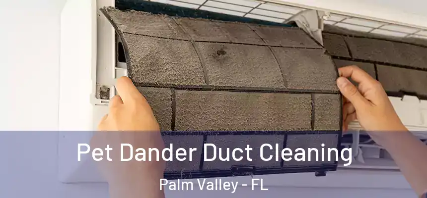 Pet Dander Duct Cleaning Palm Valley - FL