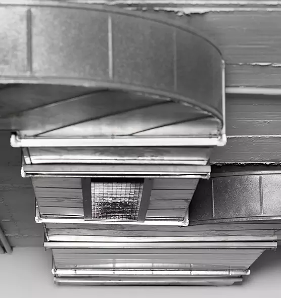 Professional Air Duct Pet Hair Removal in Palm Valley, FL