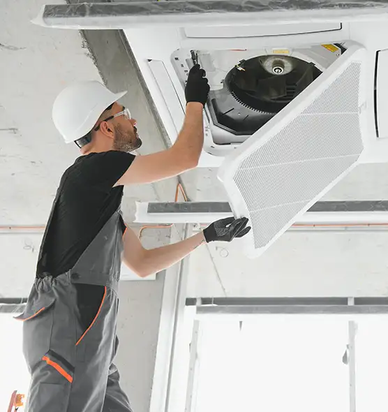 About Air Duct Rodent Removal in Palm Valley, FL