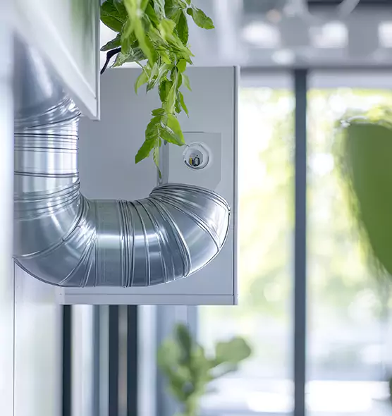 Professional Eco-Friendly Duct Cleaning Services in Palm Valley, FL