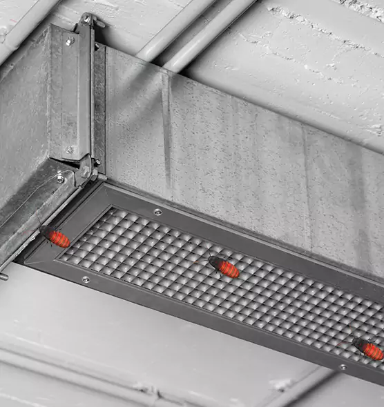 Affordable Insect Removal from Air Ducts in Palm Valley, FL