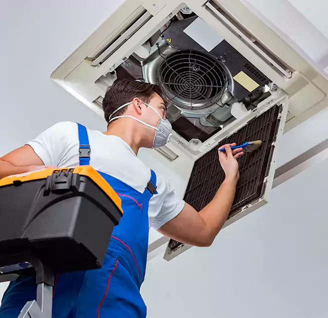 Why Homeowners & Businesses Trust Us in Palm Valley, FL