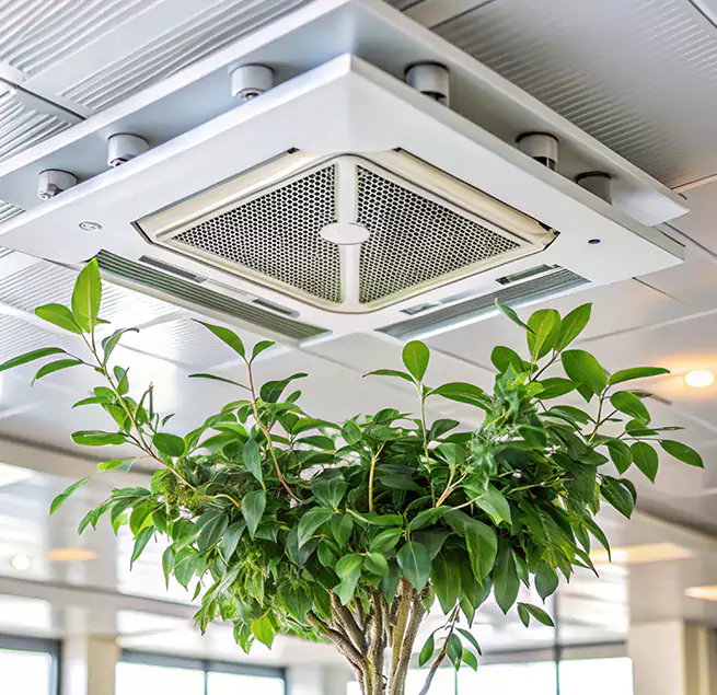 Why Homeowners & Businesses Trust Us in Palm Valley, FL?