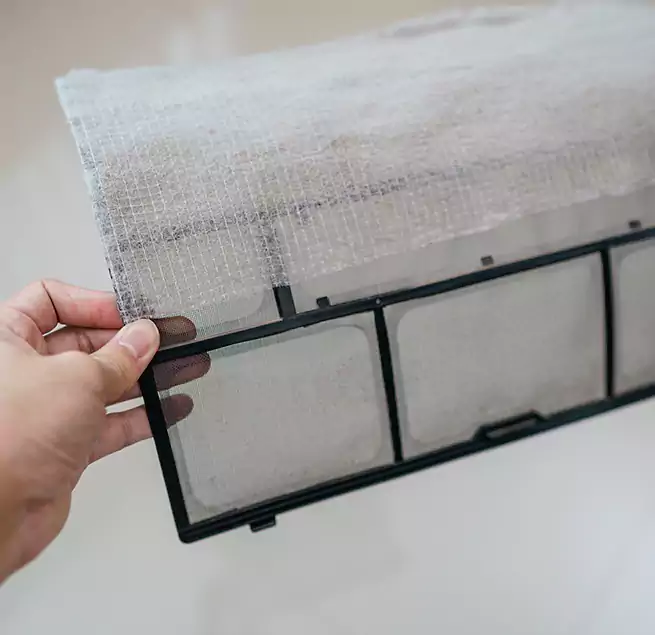 Why Homeowners & Businesses Trust Us in Palm Valley, FL?