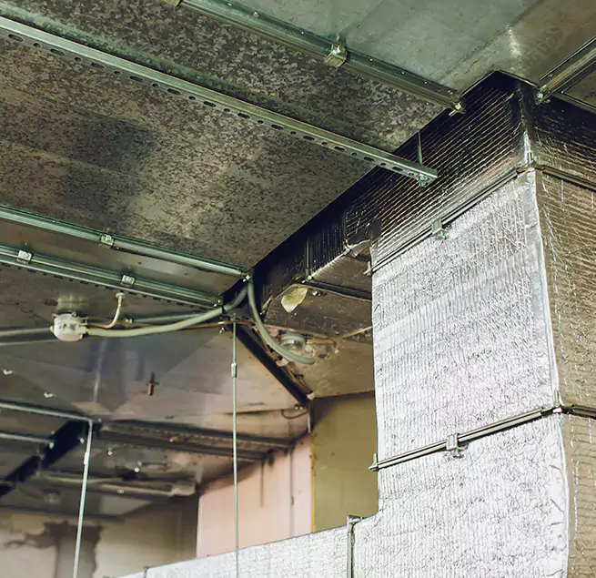 Why Homeowners & Businesses Trust Us in Palm Valley, FL?