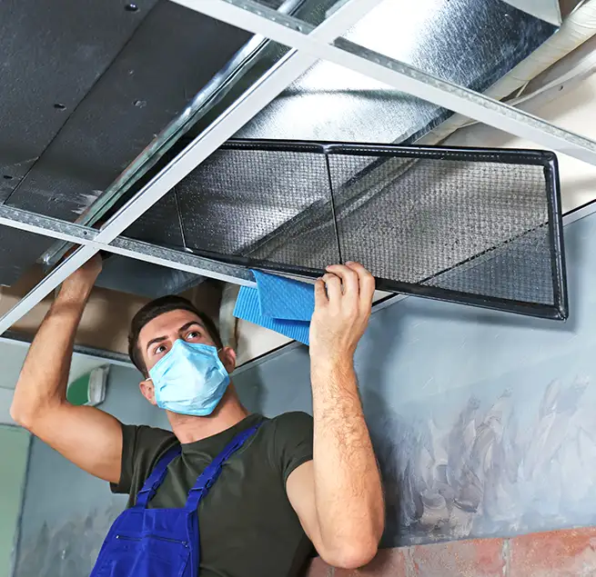 Why Homeowners & Businesses Trust Us in Palm Valley, FL?